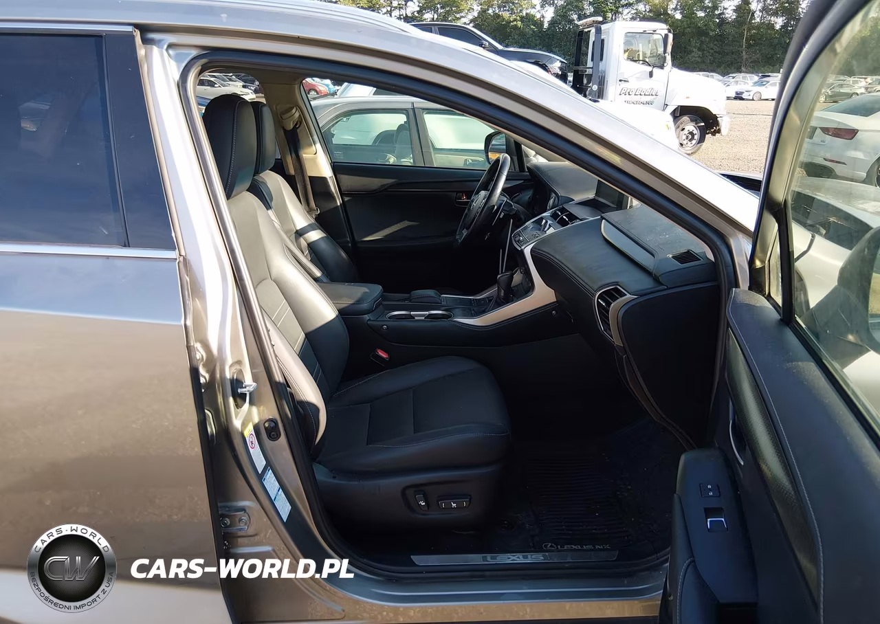 2019 Lexus Nx 300 VIN:JTJBARBZ8K2209934 - 5