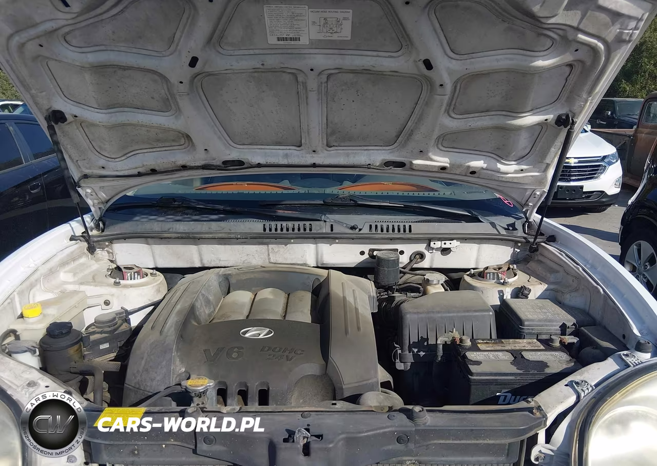 2002 Hyundai Santa Fe Gls-Lx VIN:KM8SC13D32U223029 - 10