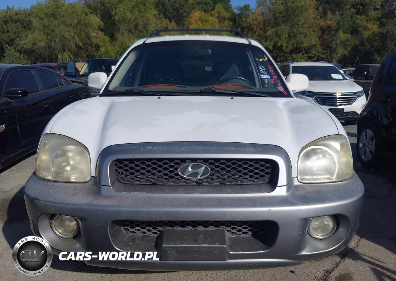 2002 Hyundai Santa Fe Gls-Lx VIN:KM8SC13D32U223029 - 12
