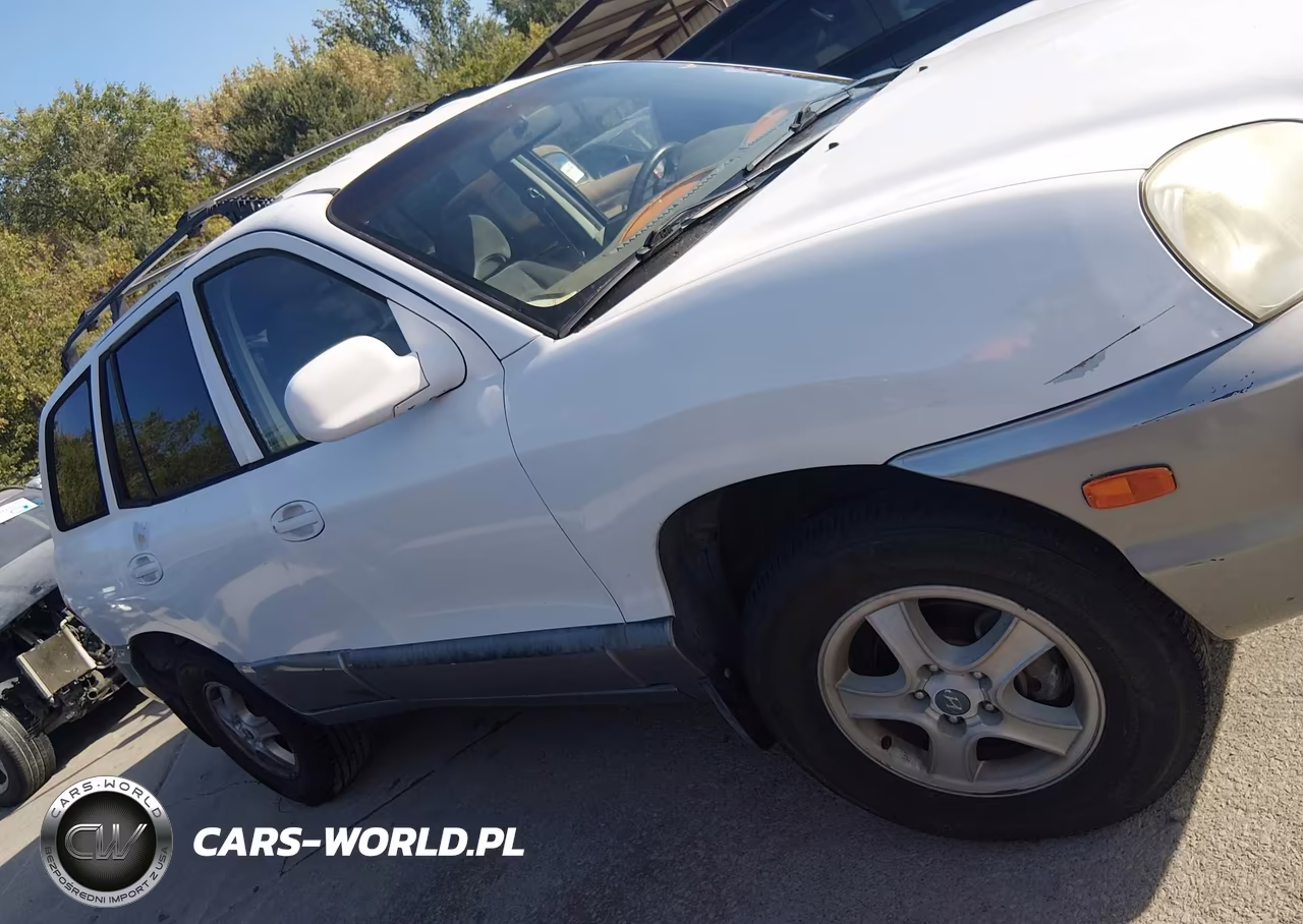 2002 Hyundai Santa Fe Gls-Lx VIN:KM8SC13D32U223029 - 13