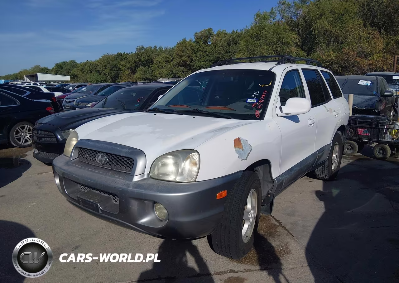 2002 Hyundai Santa Fe Gls-Lx VIN:KM8SC13D32U223029 - 2