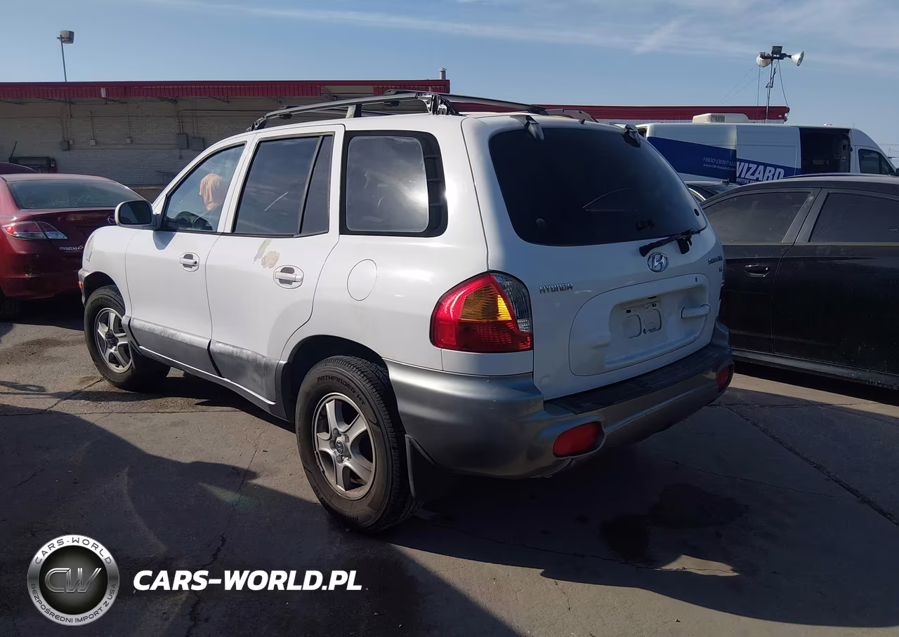 2002 Hyundai Santa Fe Gls-Lx VIN:KM8SC13D32U223029 - 3