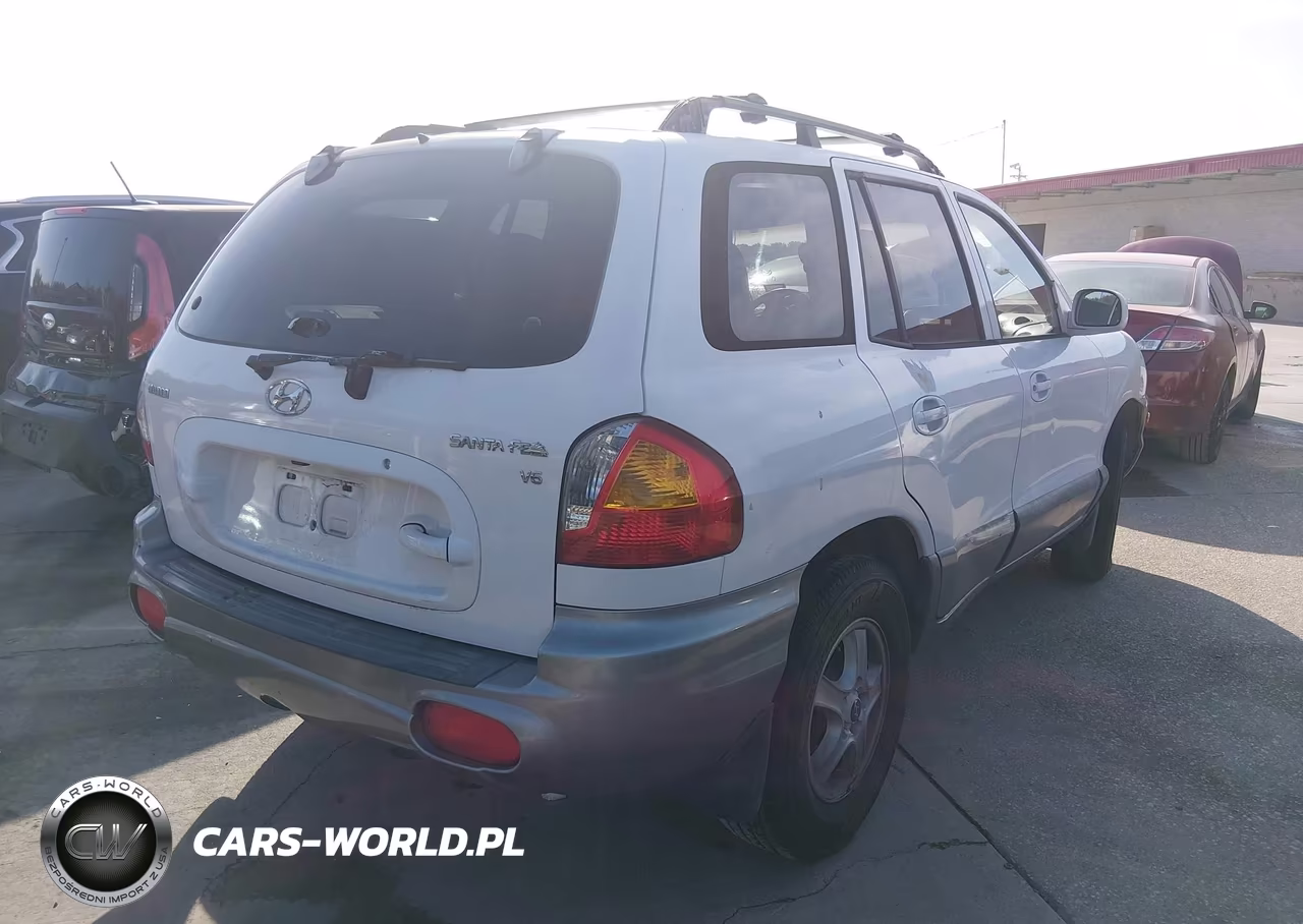 2002 Hyundai Santa Fe Gls-Lx VIN:KM8SC13D32U223029 - 4