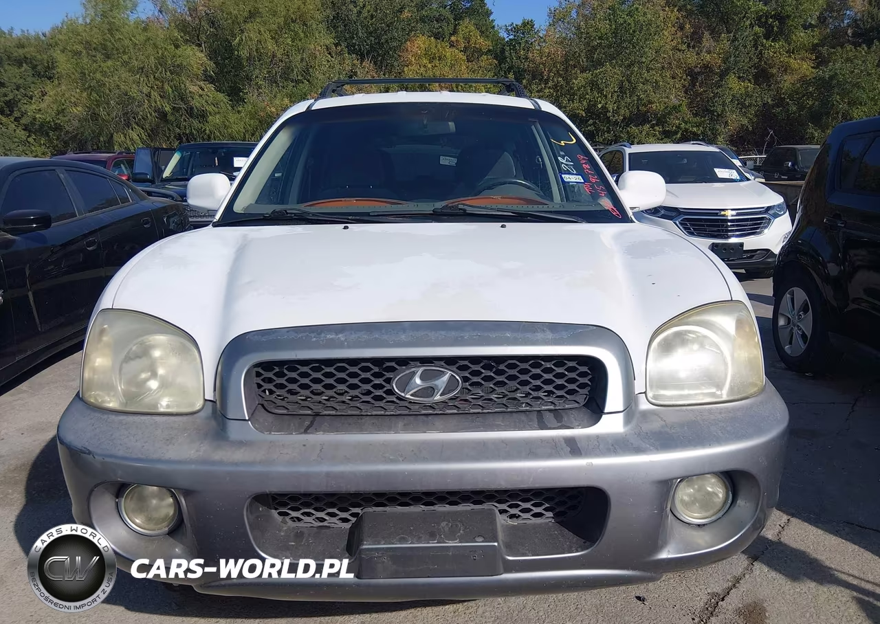 2002 Hyundai Santa Fe Gls-Lx VIN:KM8SC13D32U223029 - 6