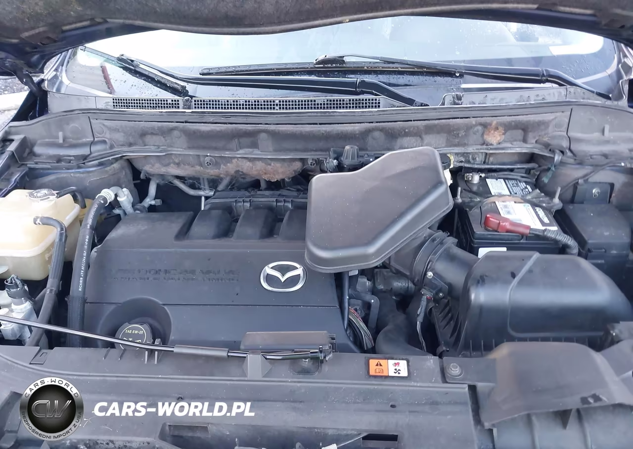 2010 Mazda Cx-9 Touring VIN:JM3TB2MA2A0232632 - 10
