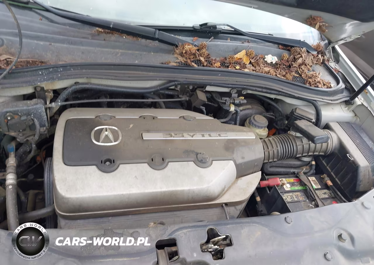 2006 Acura Mdx VIN:2HNYD18246H533308 - 10