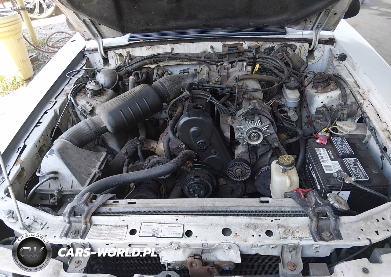 1989 Ford Mustang Lx VIN:1FABP44A8KF291187 - 10