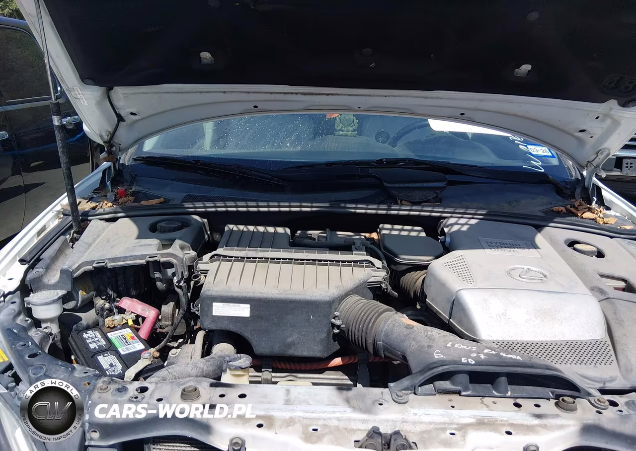 2006 Lexus Rx 400H VIN:JTJGW31U262000446 - 10