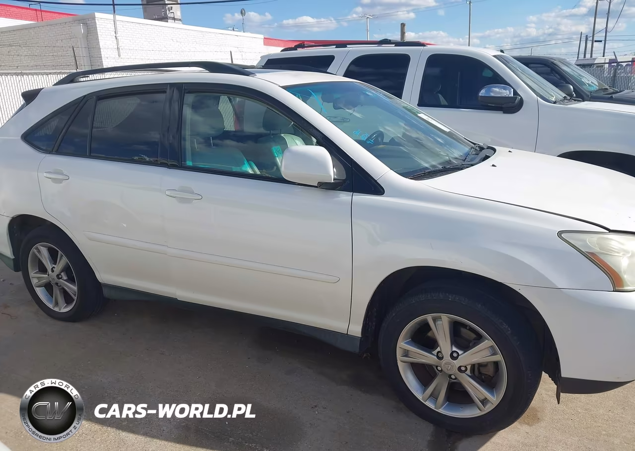 2006 Lexus Rx 400H VIN:JTJGW31U262000446 - 13