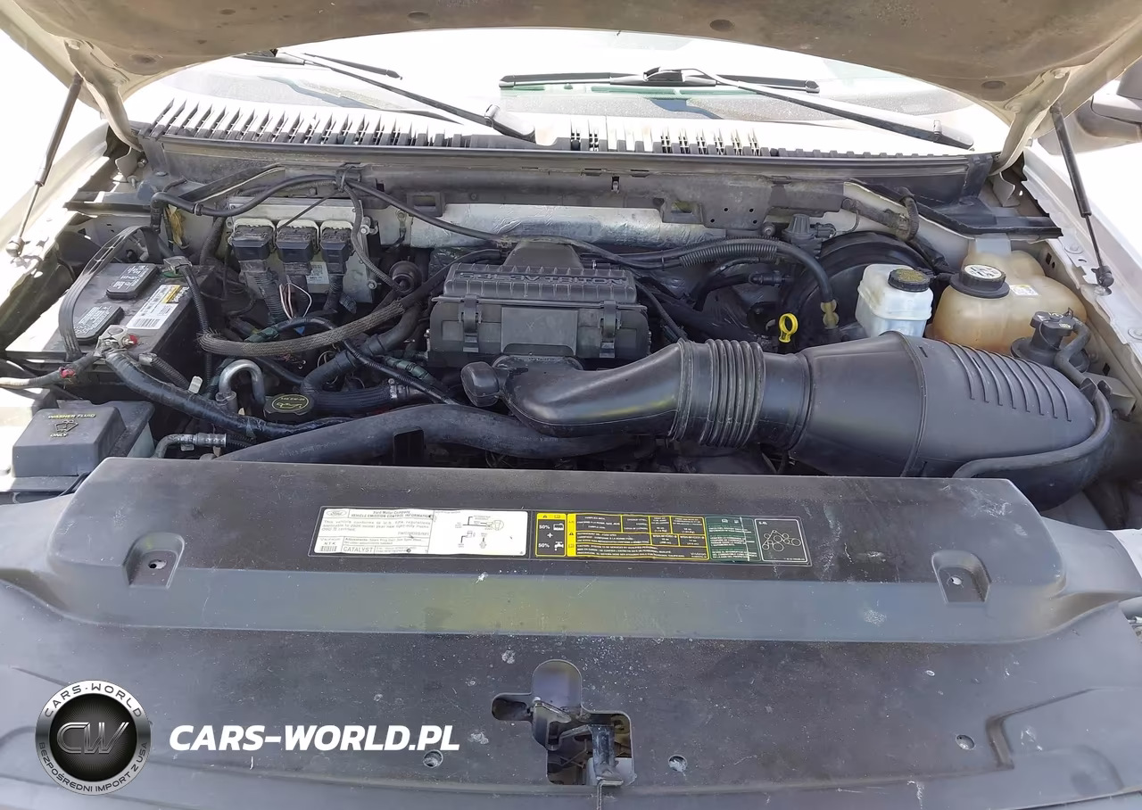 2006 Ford Expedition Xlt-Xlt Sport VIN:1FMPU15506LB00244 - 10