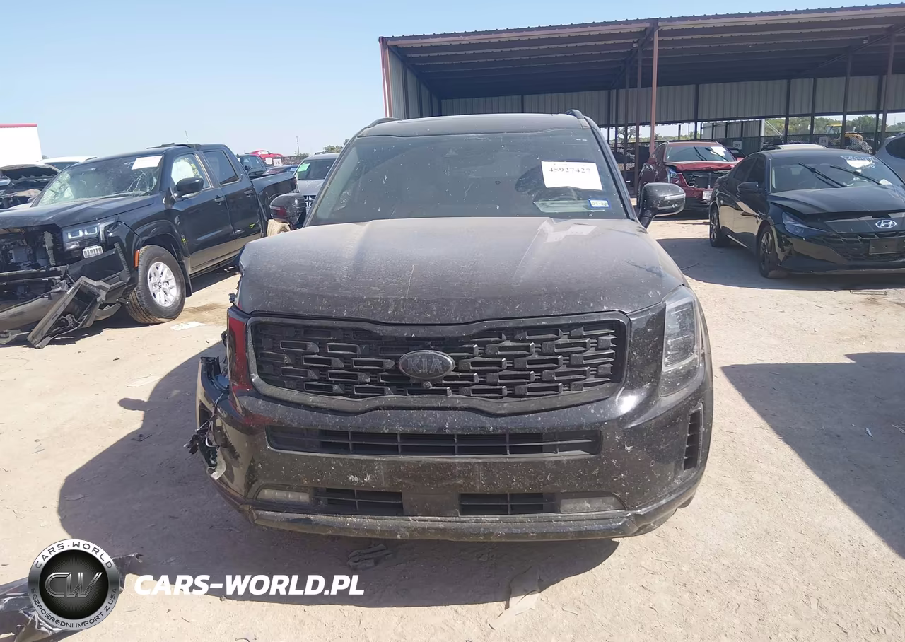 2021 Kia Telluride Sx VIN:5XYP5DHC0MG108415 - 12