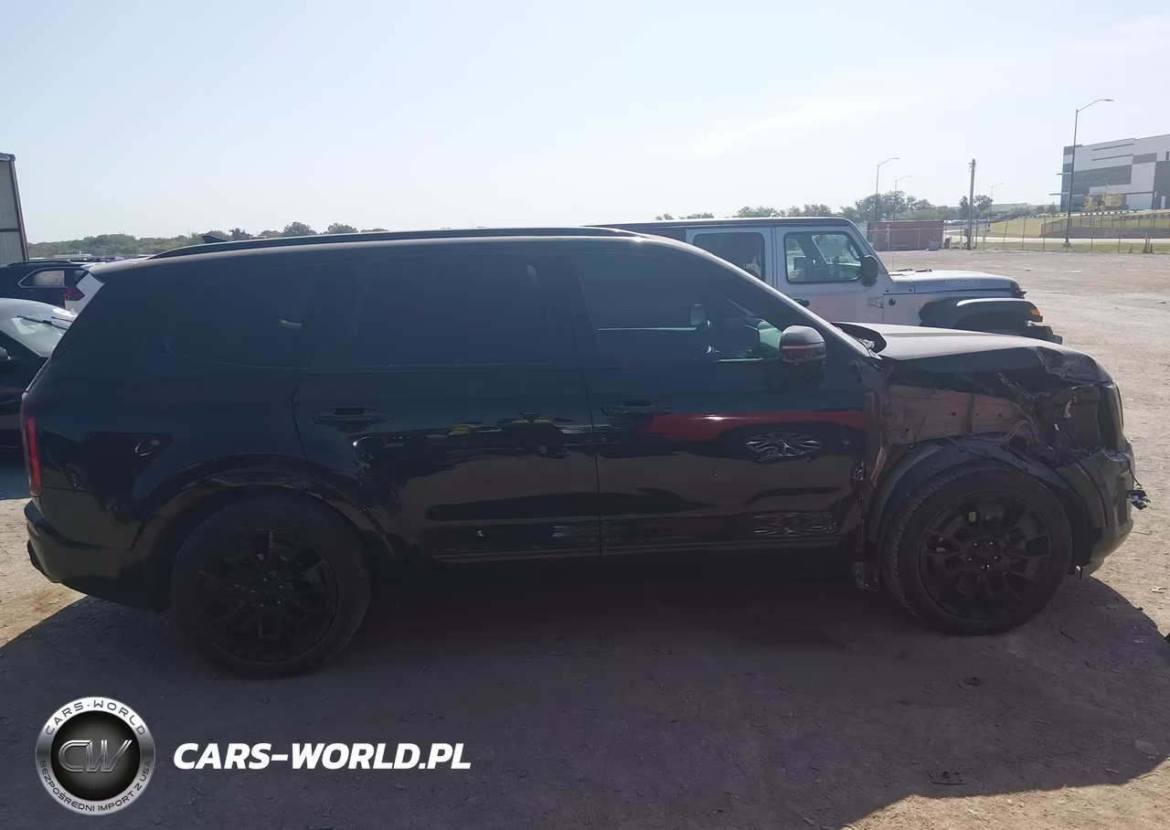2021 Kia Telluride Sx VIN:5XYP5DHC0MG108415 - 13