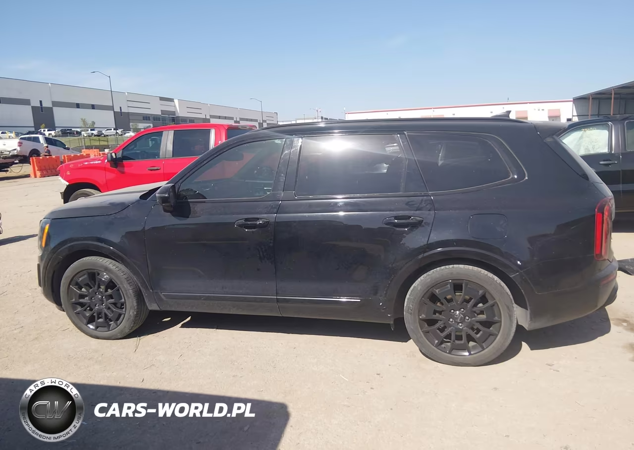 2021 Kia Telluride Sx VIN:5XYP5DHC0MG108415 - 14