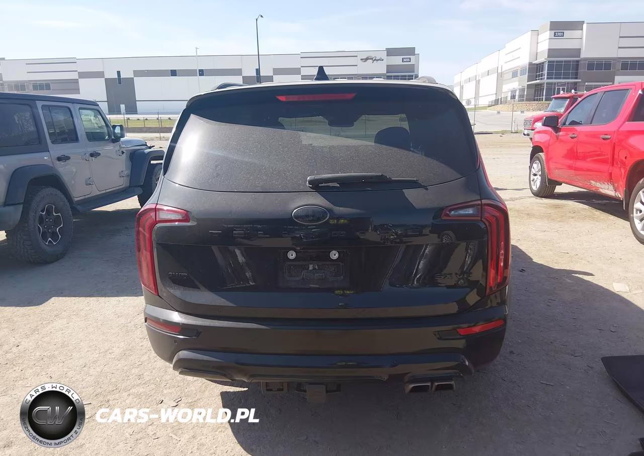 2021 Kia Telluride Sx VIN:5XYP5DHC0MG108415 - 16