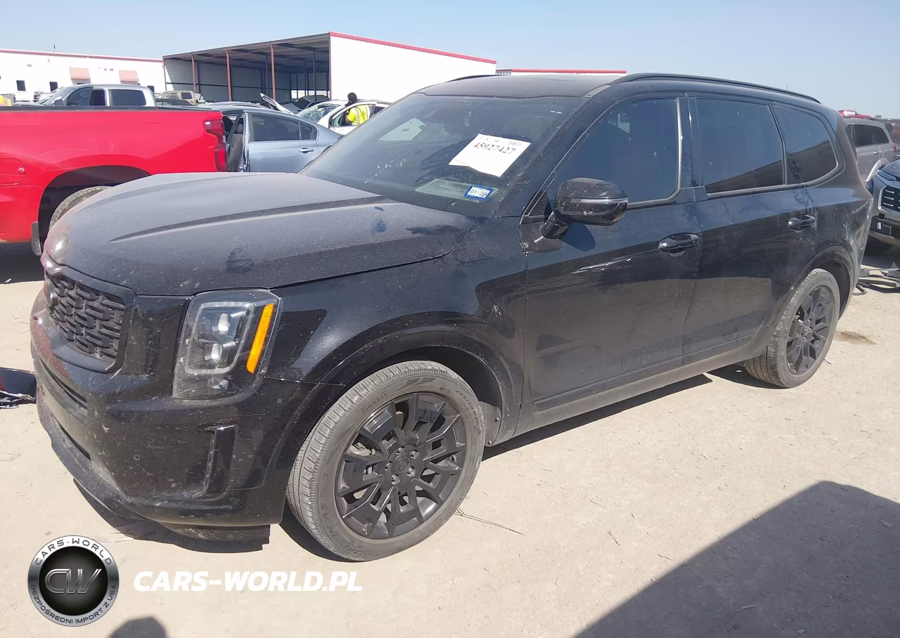 2021 Kia Telluride Sx VIN:5XYP5DHC0MG108415 - 2