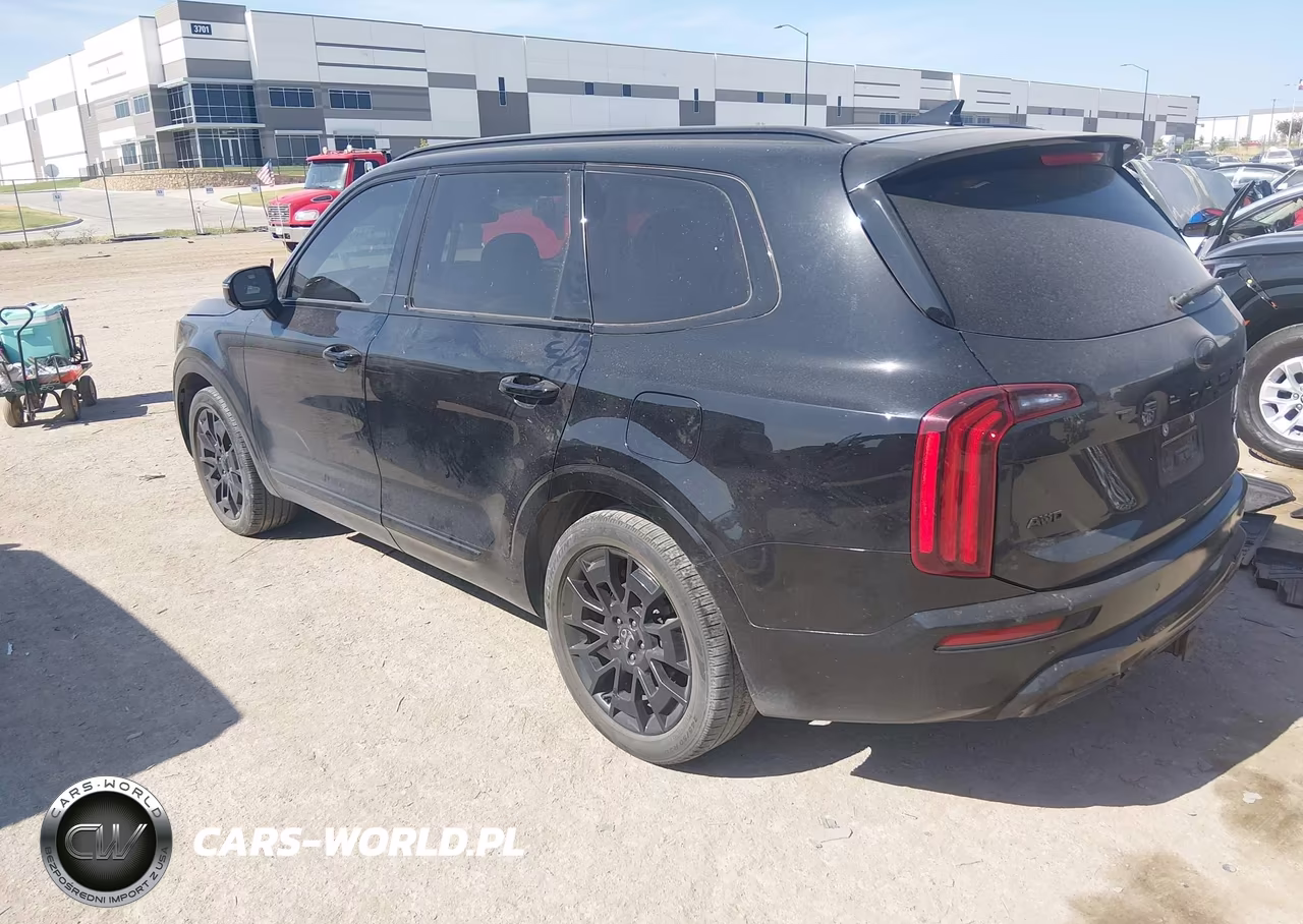 2021 Kia Telluride Sx VIN:5XYP5DHC0MG108415 - 3