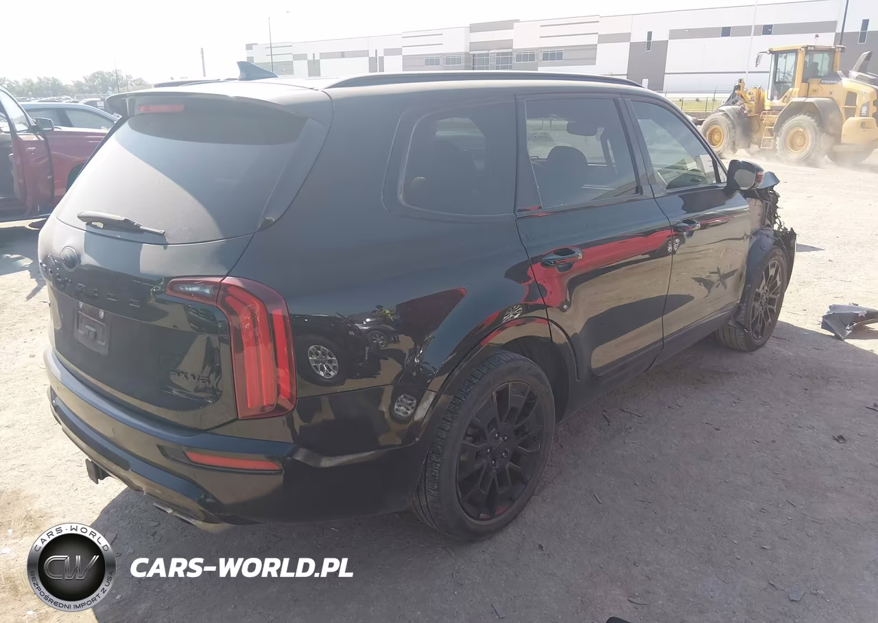 2021 Kia Telluride Sx VIN:5XYP5DHC0MG108415 - 4
