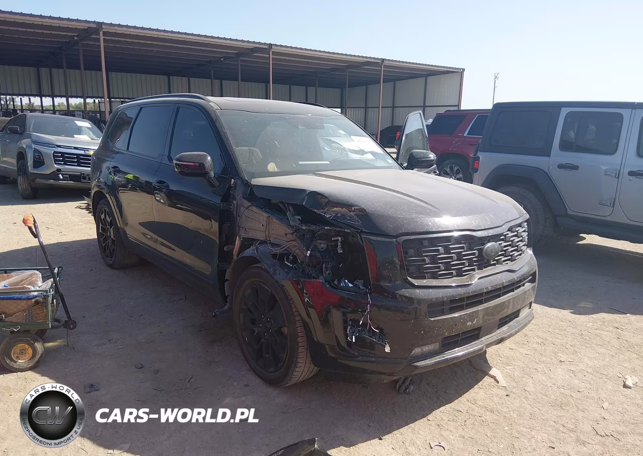 2021 Kia Telluride Sx VIN:5XYP5DHC0MG108415 - 6