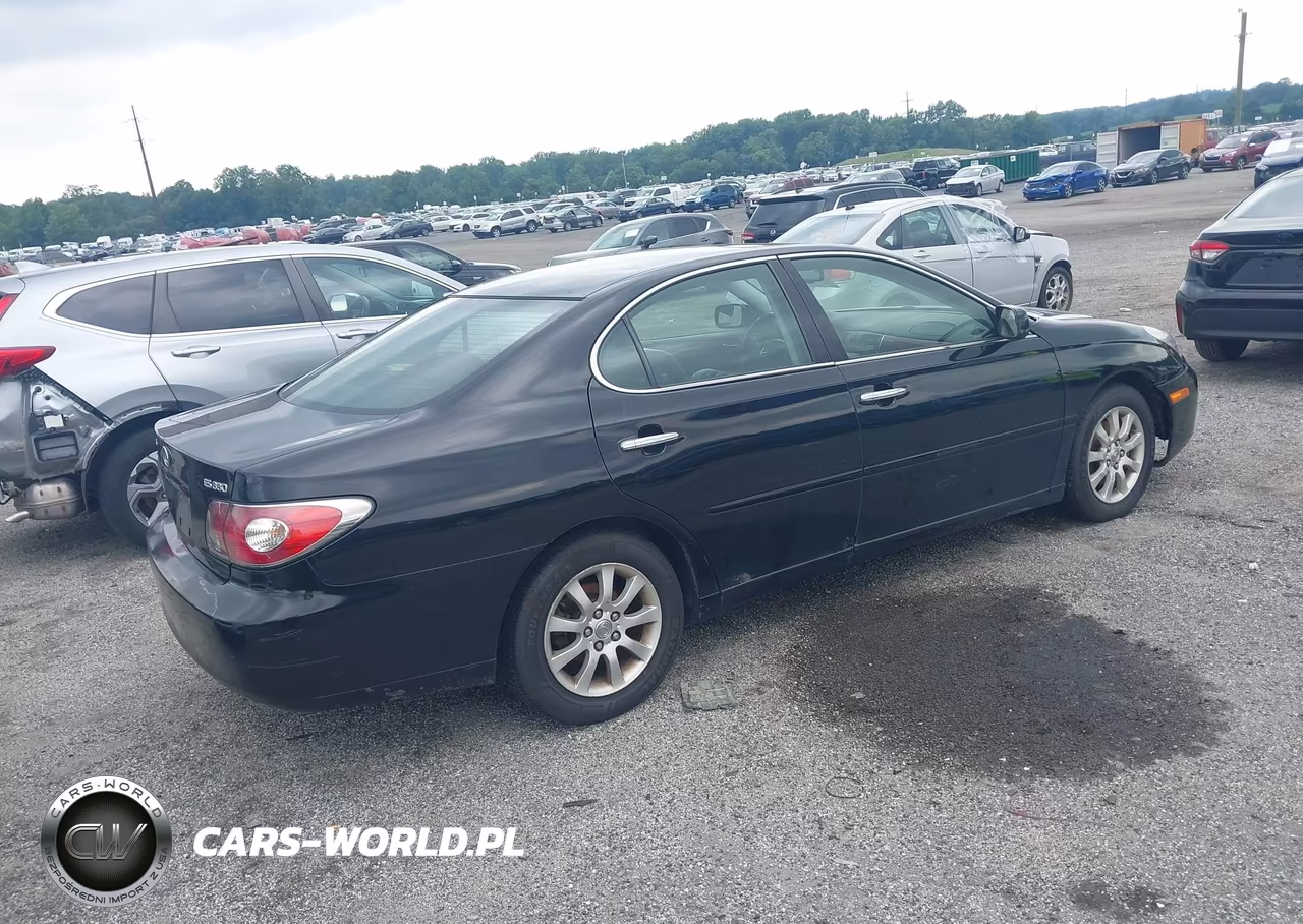 2004 Lexus Es 330 VIN:JTHBA30G645053619 - 4