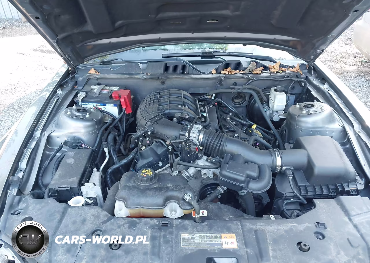 2013 Ford Mustang V6 VIN:1ZVBP8AMXD5273313 - 10