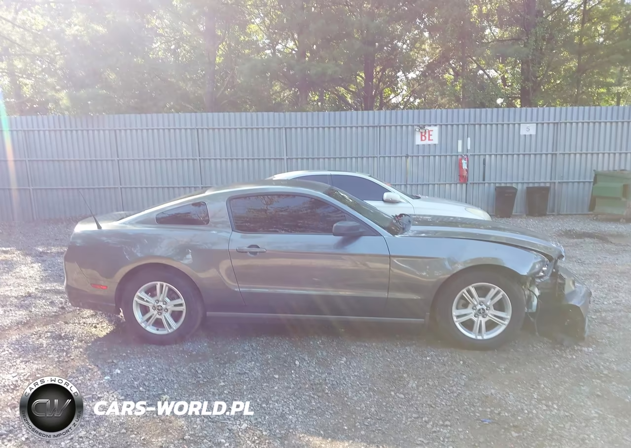 2013 Ford Mustang V6 VIN:1ZVBP8AMXD5273313 - 13