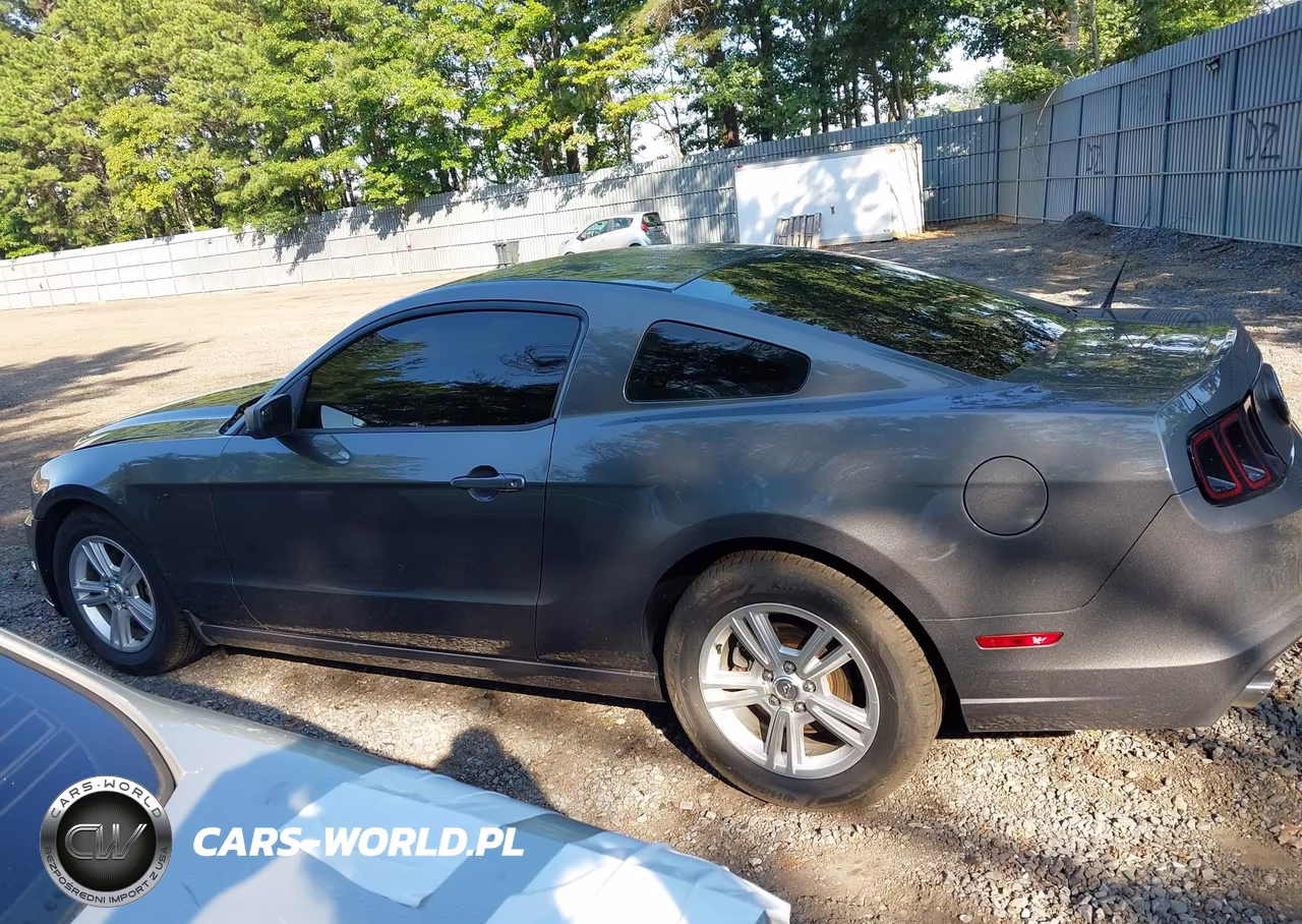2013 Ford Mustang V6 VIN:1ZVBP8AMXD5273313 - 14