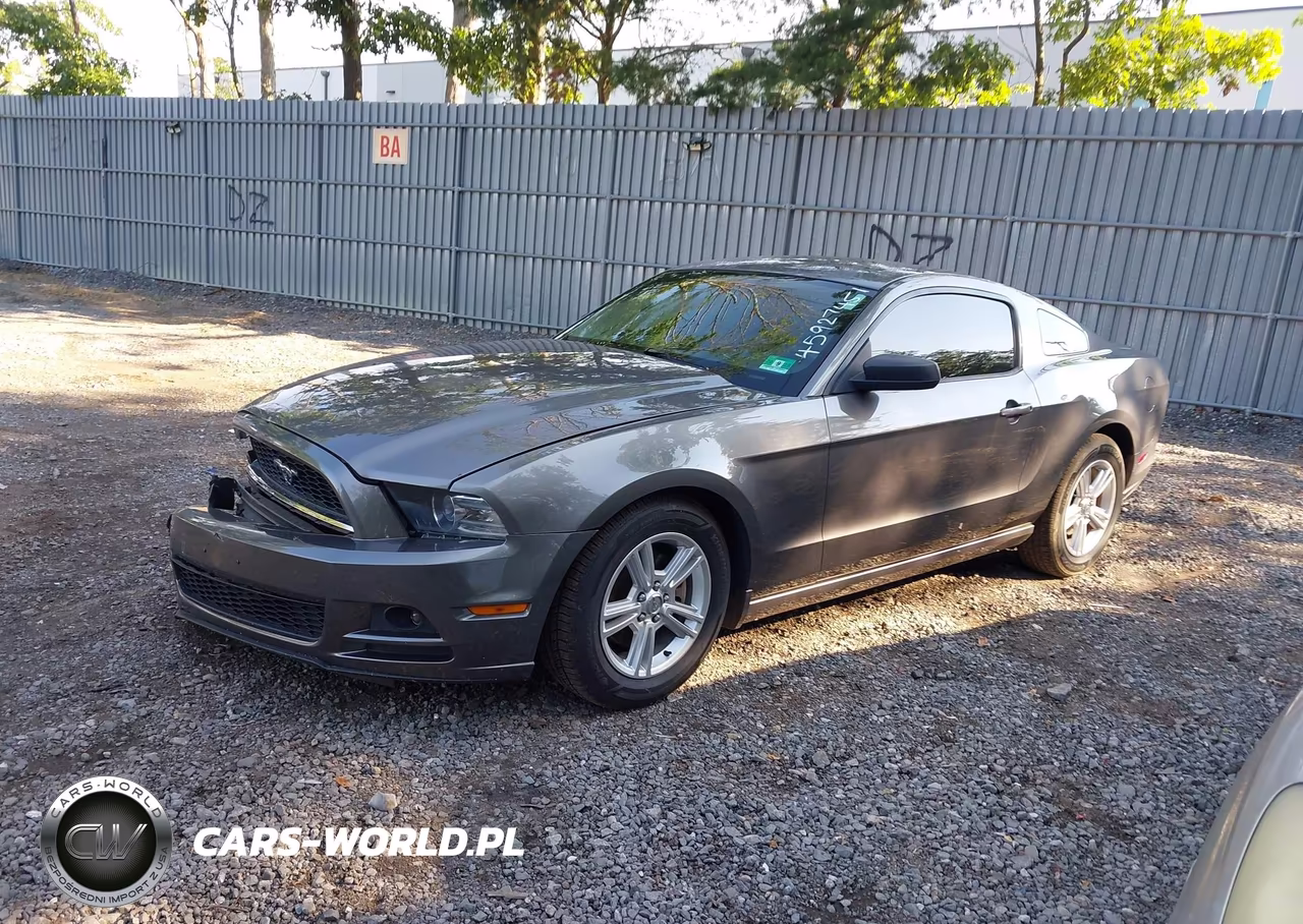 2013 Ford Mustang V6 VIN:1ZVBP8AMXD5273313 - 2