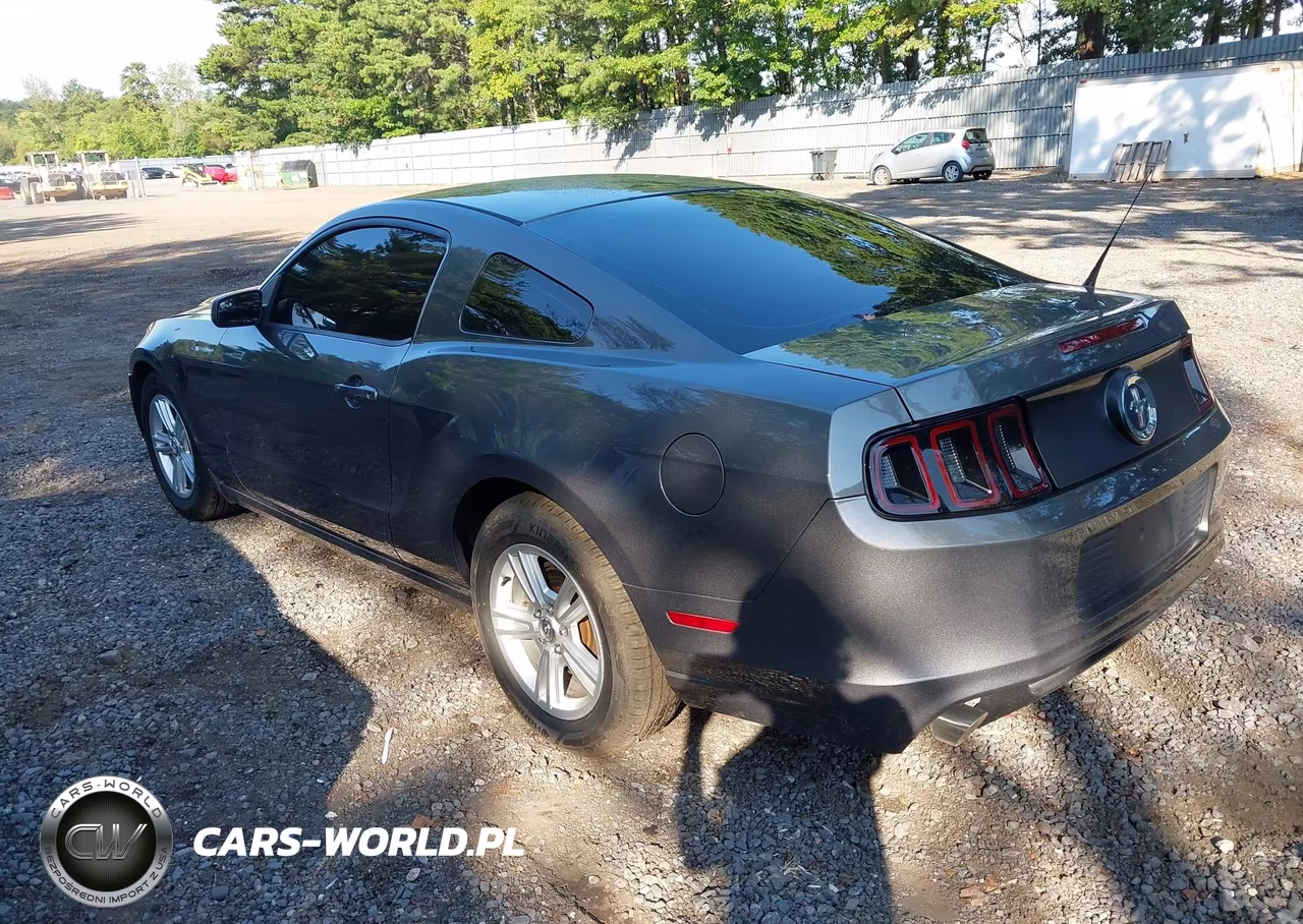 2013 Ford Mustang V6 VIN:1ZVBP8AMXD5273313 - 3