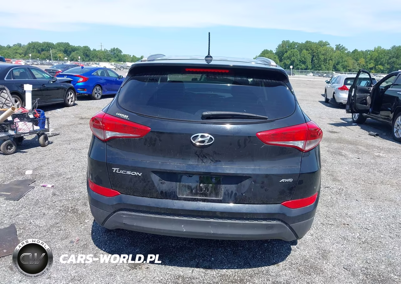 2017 Hyundai Tucson Se VIN:KM8J3CA46HU316842 - 16