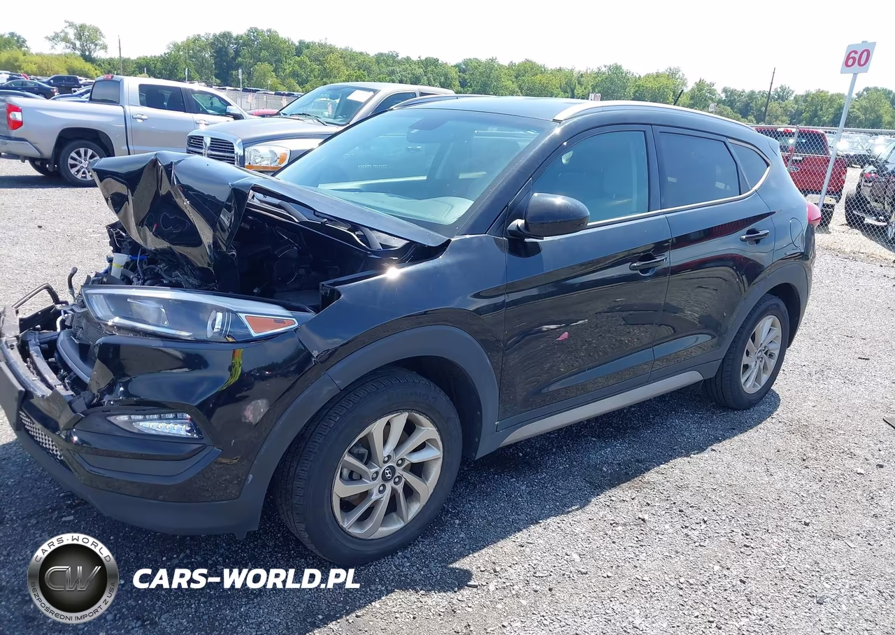 2017 Hyundai Tucson Se VIN:KM8J3CA46HU316842 - 2