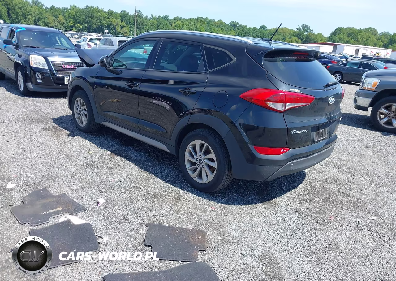 2017 Hyundai Tucson Se VIN:KM8J3CA46HU316842 - 3