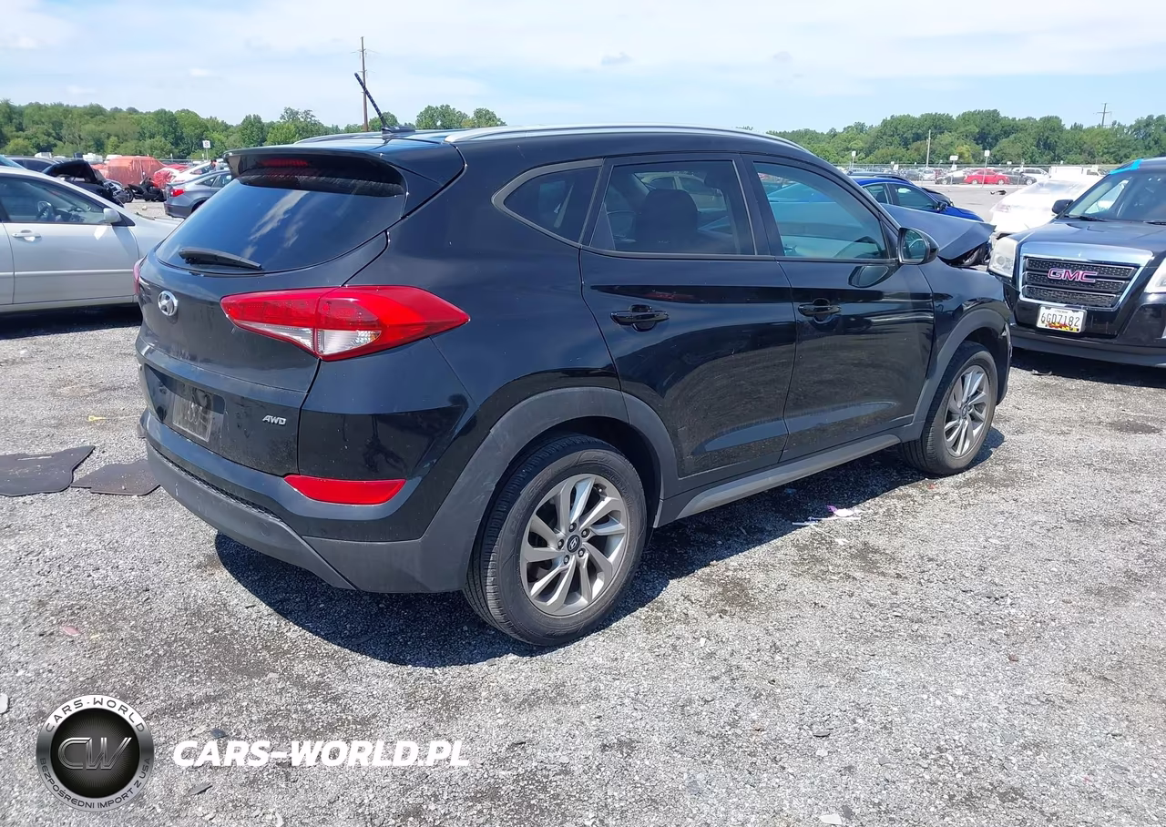2017 Hyundai Tucson Se VIN:KM8J3CA46HU316842 - 4