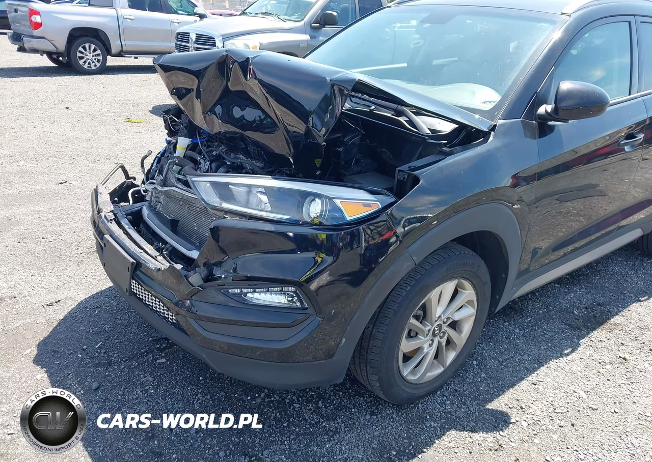 2017 Hyundai Tucson Se VIN:KM8J3CA46HU316842 - 6