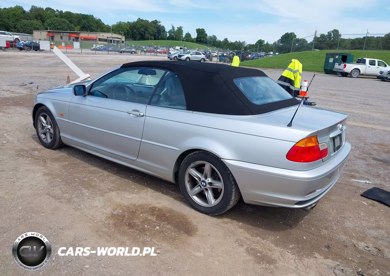 2002 BMW 325Ci VIN:WBABS33452PG84217 - 3
