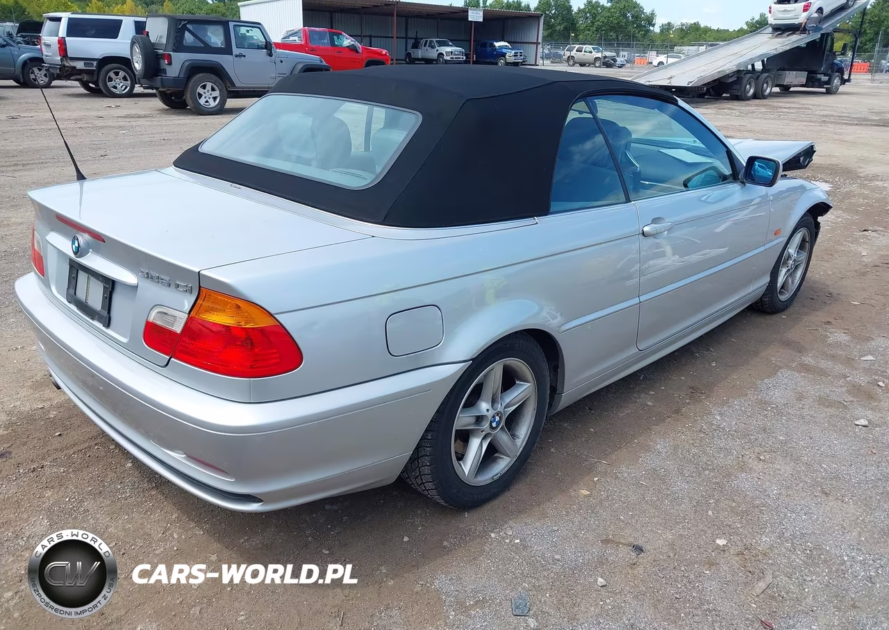 2002 BMW 325Ci VIN:WBABS33452PG84217 - 4