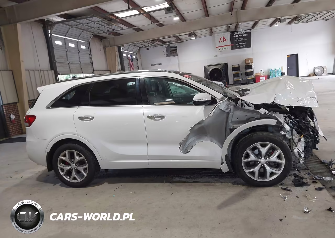 2018 Kia Sorento 3.3L Sx VIN:5XYPK4A59JG406557 - 14