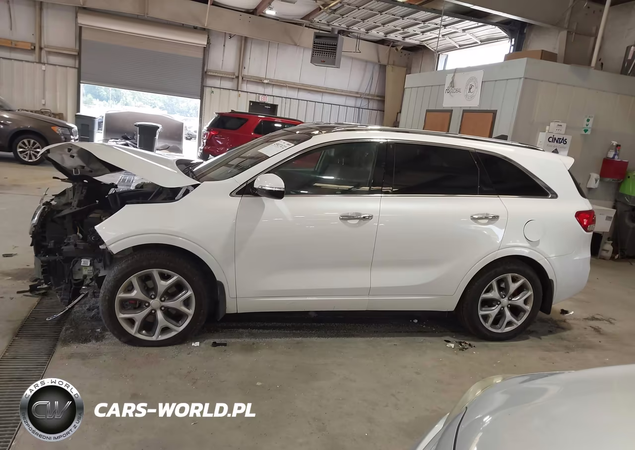 2018 Kia Sorento 3.3L Sx VIN:5XYPK4A59JG406557 - 15