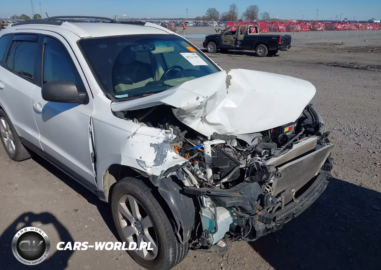 2007 Hyundai Santa Fe Limited-Se VIN:5NMSH13E07H019821 - 6