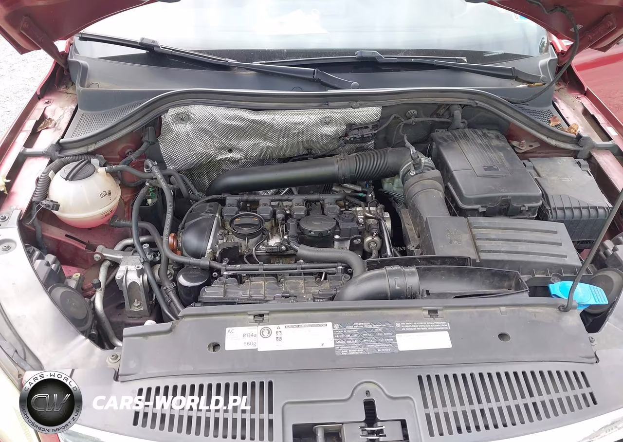 2011 Volkswagen Tiguan Sel VIN:WVGBV7AX8BW001908 - 10
