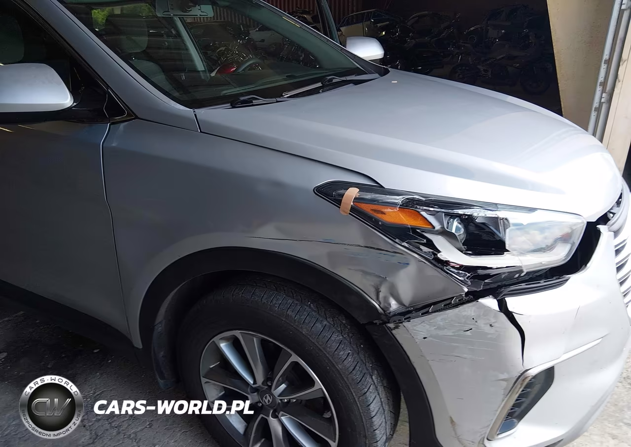 2019 Hyundai Santa Fe Xl Se VIN:KM8SM4HF9KU304304 - 17