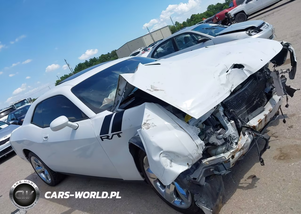 2010 Dodge Challenger R-T VIN:2B3CJ5DT5AH283652 - 12