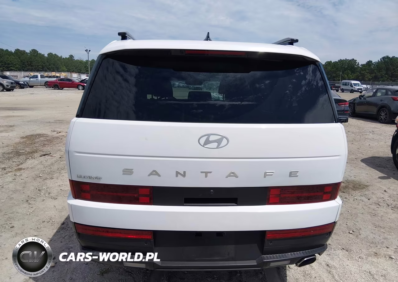 2025 Hyundai Santa Fe Sel VIN:5NMP24GLXSH114753 - 16