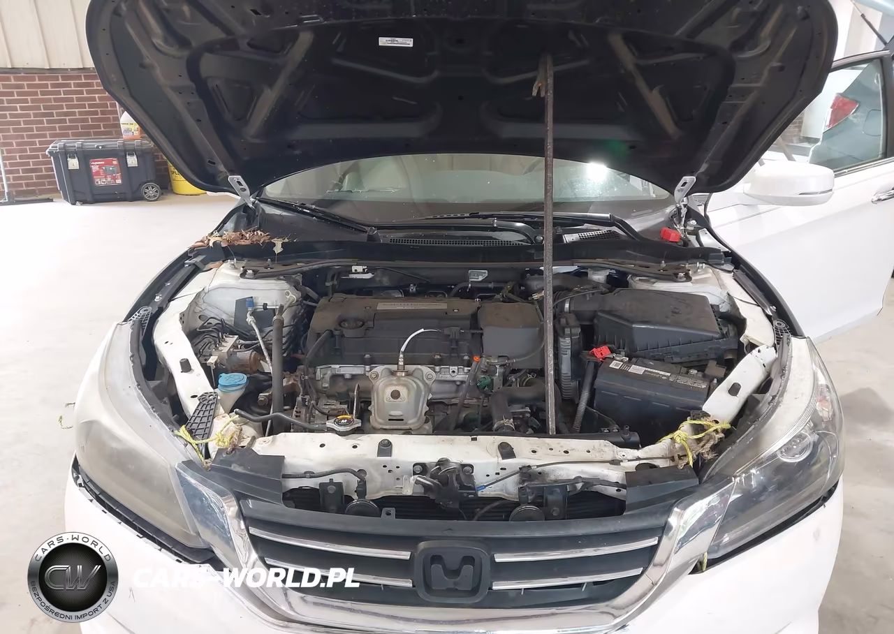 2014 Honda Accord Exl VIN:1HGCR2F81EA195203 - 10