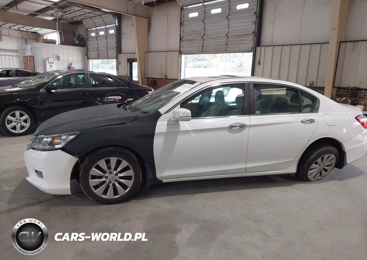 2014 Honda Accord Exl VIN:1HGCR2F81EA195203 - 13