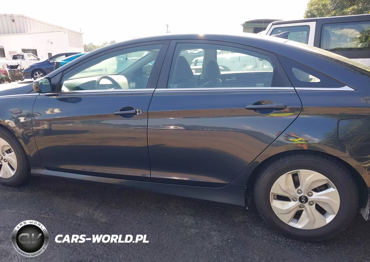 2014 Hyundai Sonata Gls VIN:5NPEB4AC4EH822360 - 13