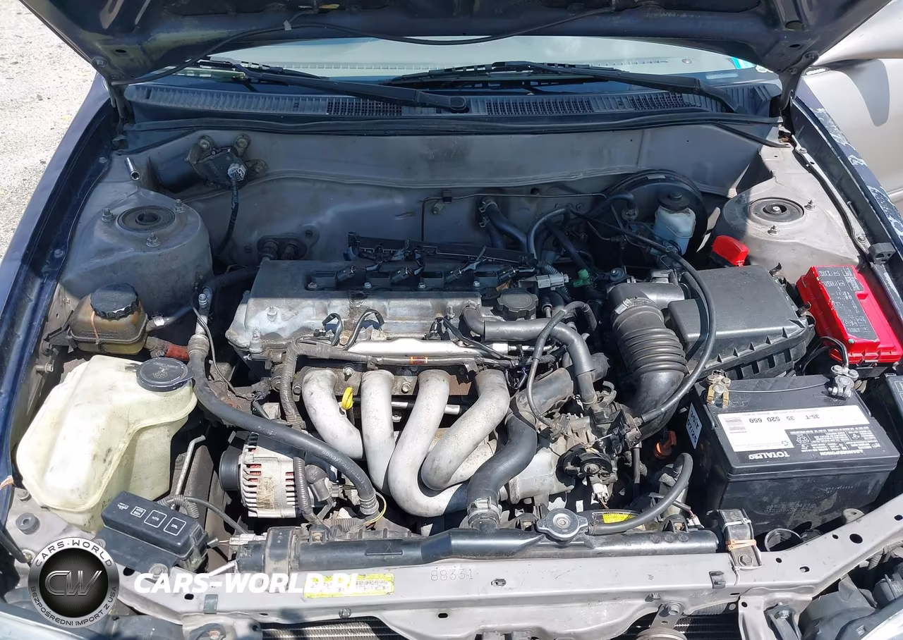 2001 Toyota Corolla Le VIN:2T1BR12E11C490212 - 10