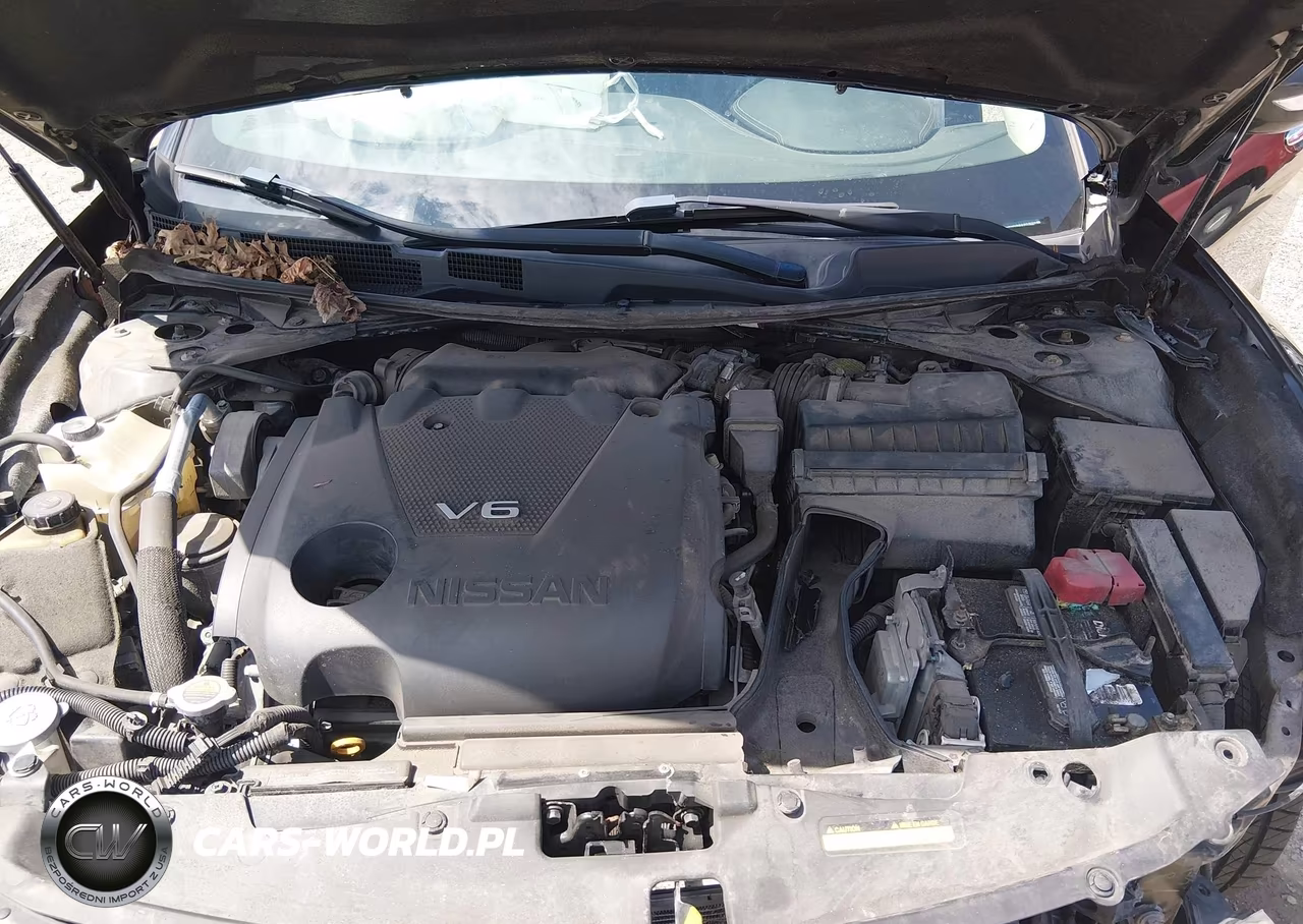 2016 Nissan Maxima VIN:1N4AA6AP7GC443728 - 10