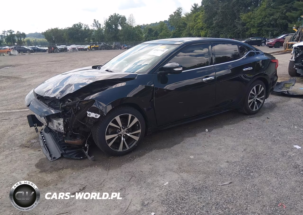 2016 Nissan Maxima VIN:1N4AA6AP7GC443728 - 2