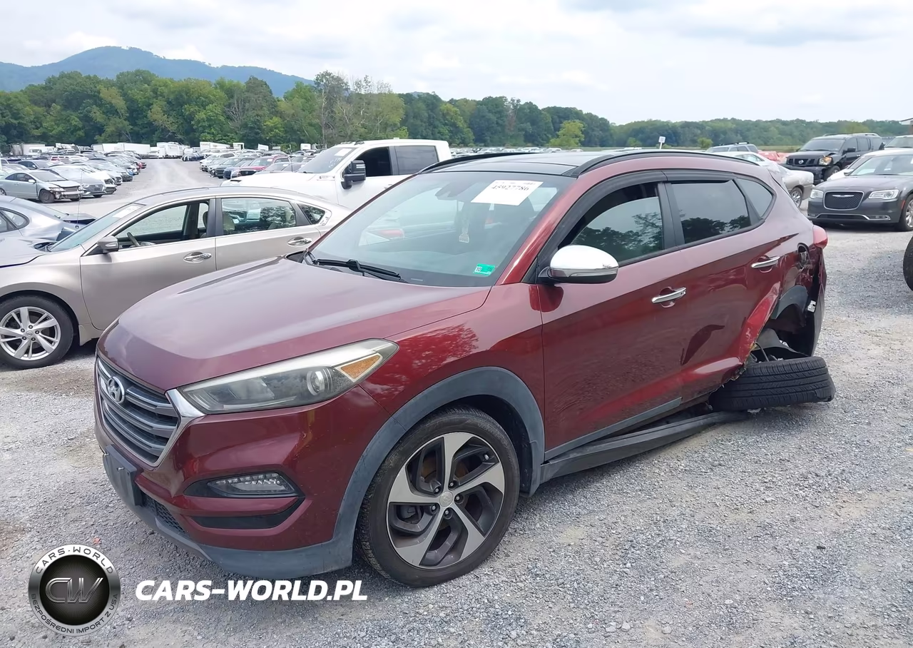2016 Hyundai Tucson Limited VIN:KM8J3CA25GU061954 - 2