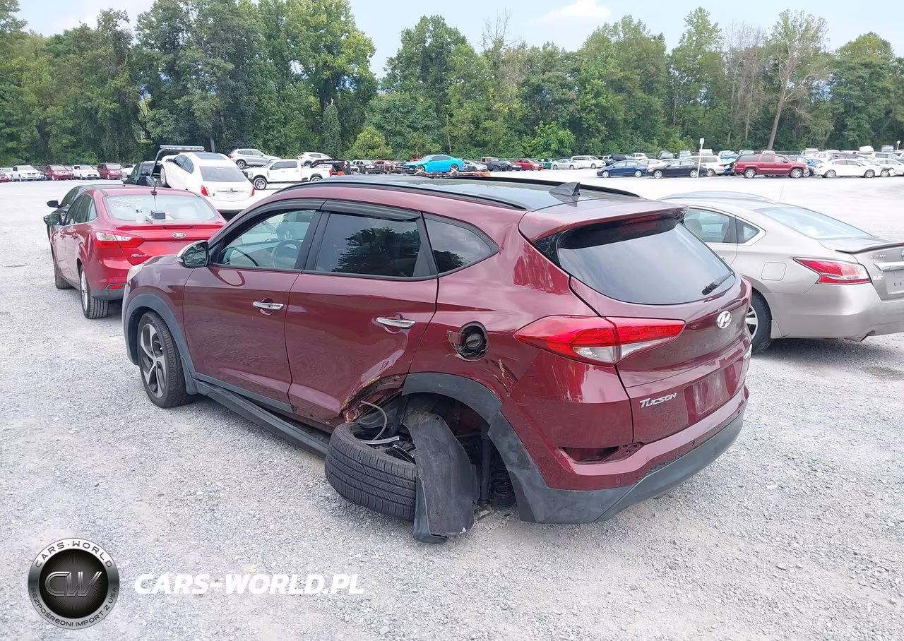 2016 Hyundai Tucson Limited VIN:KM8J3CA25GU061954 - 3